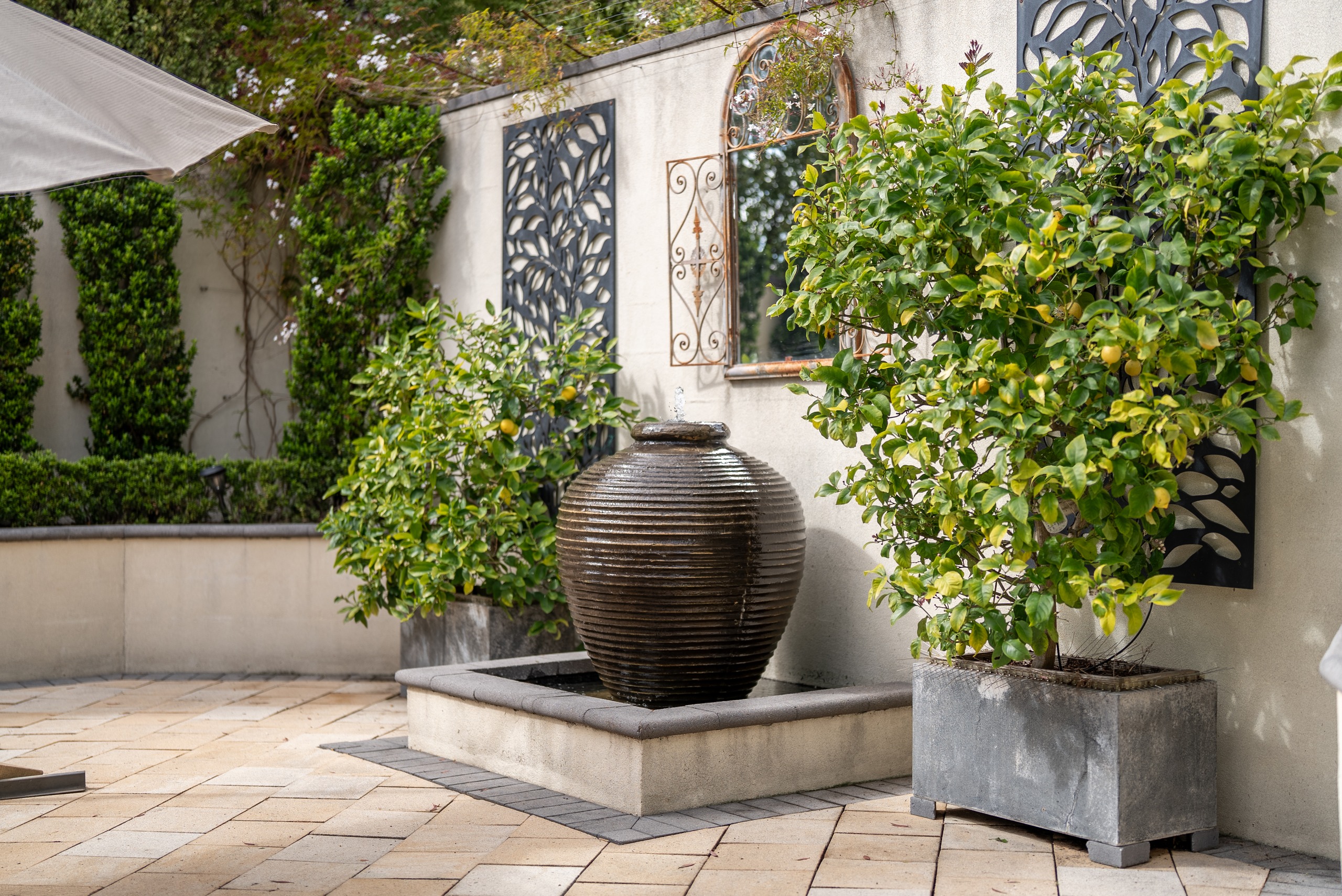 The courtyard water feature with citrus trees in planters and decorative screens on the wall behind.