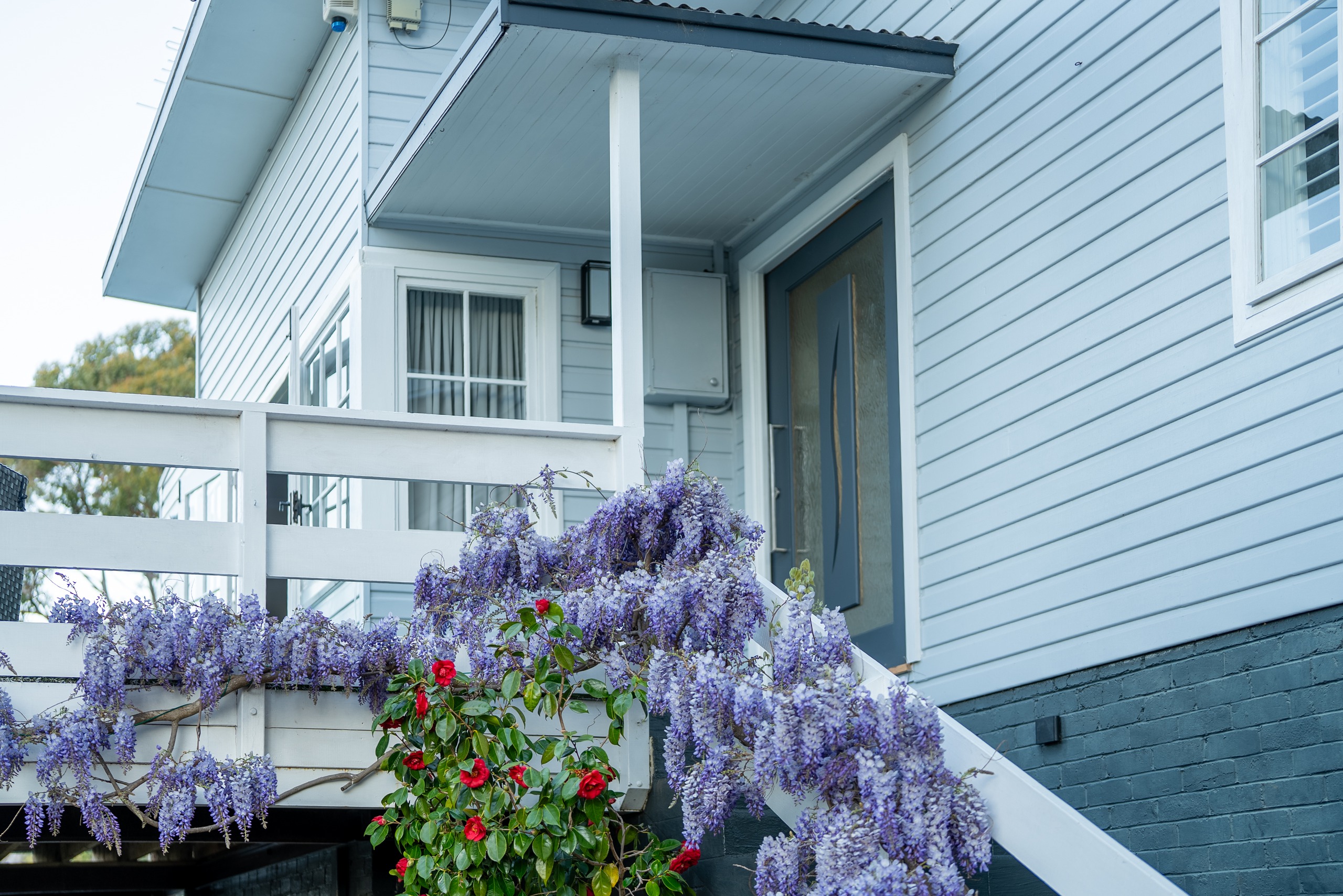 The front entry under a covered porch, with wisteria and red camellias along the deck railing.