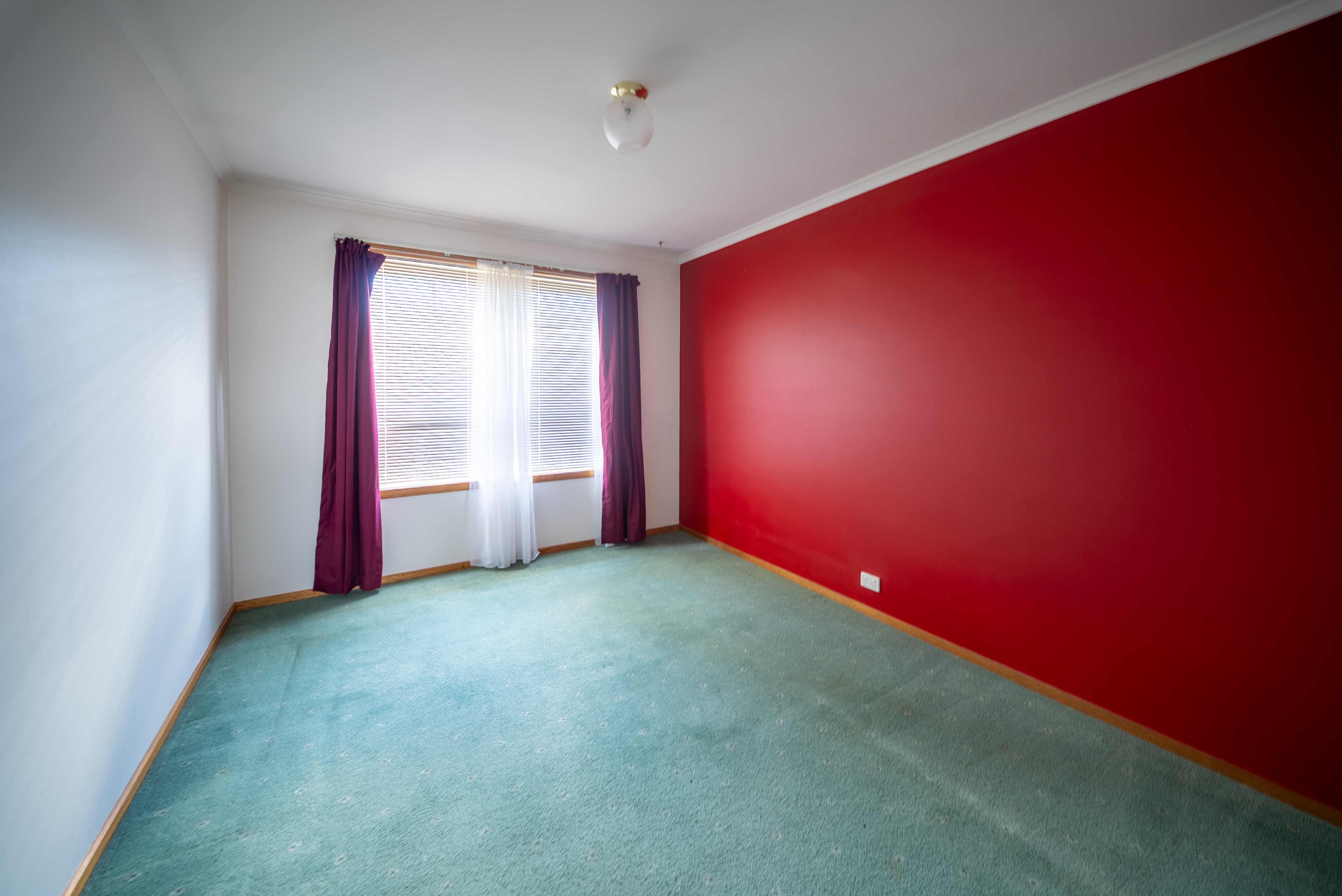 Bedroom with green carpet, a red feature wall and a curtained window.