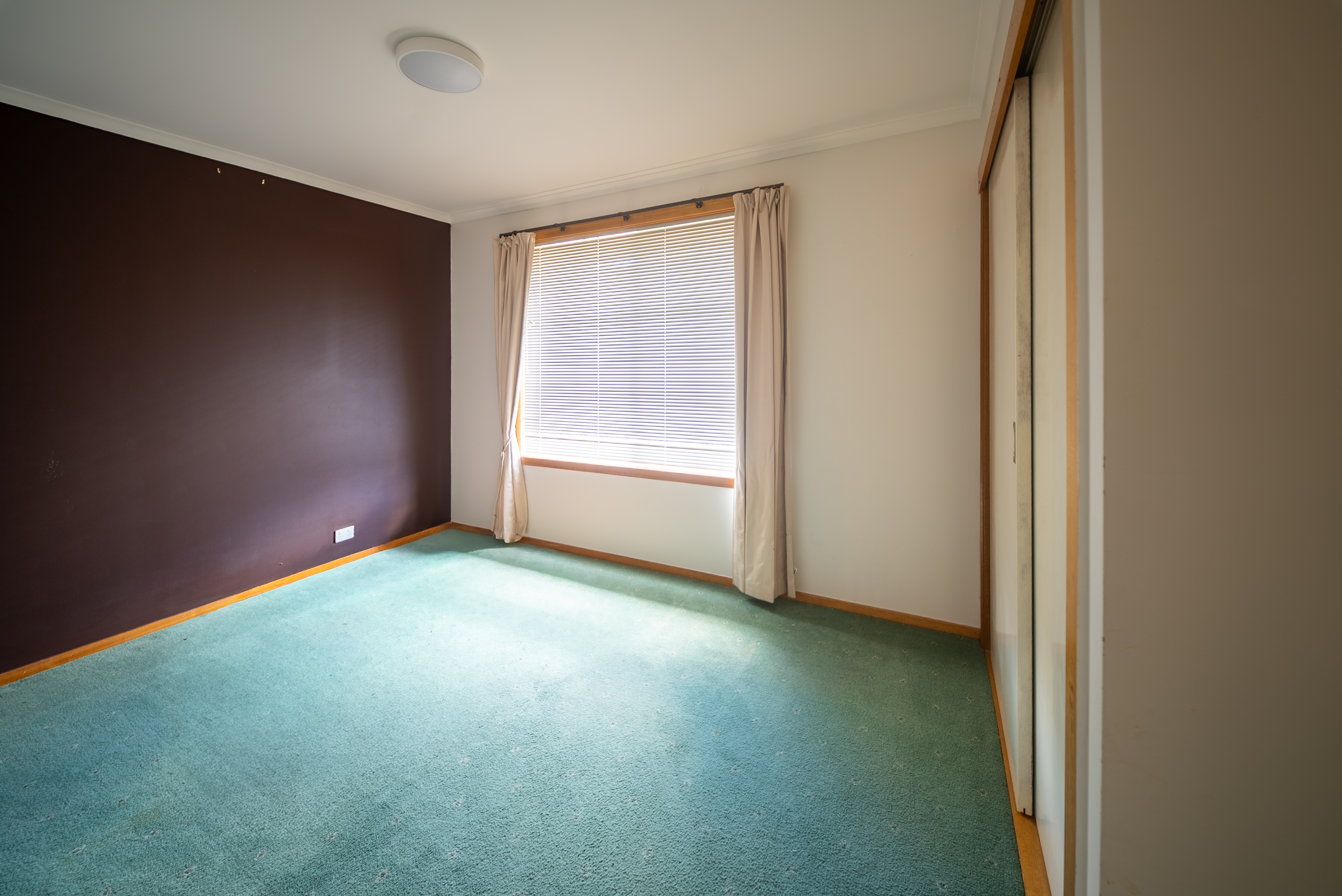Bedroom with green carpet, a dark feature wall and a built-in robe.